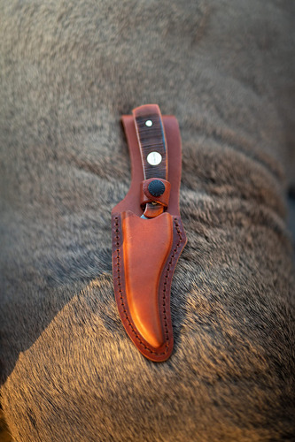 Old Timer Generational Usa Series 152otg Cuchillo De Hoja Fi