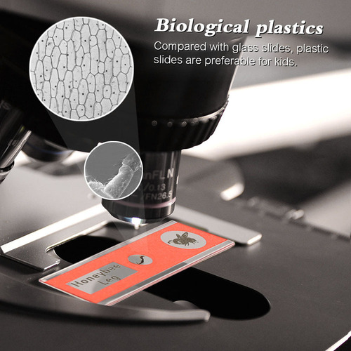 Conjunto 48 Diapositivas Plásticas Para Microscopio De Muest
