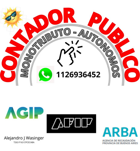 Contador Publico Caba Monotributo Autonomos 100% Online