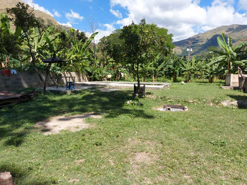 Imagen 27 de 29 de Finca Mixta + Manga De Coleo De 1 Ha En Guayabita En Turmero