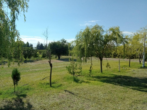Finca Con Dos Propiedades Y Produccion En General Alvear