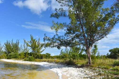 Imagen 3 de 10 de Terreno En Venta Isla Blanca En Laguna Chacmuchuc Cancún