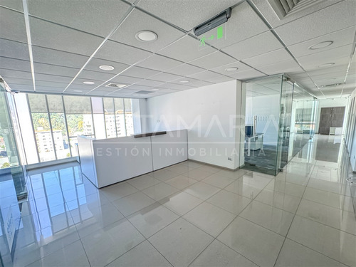 Oficina En Arriendo En Concepción