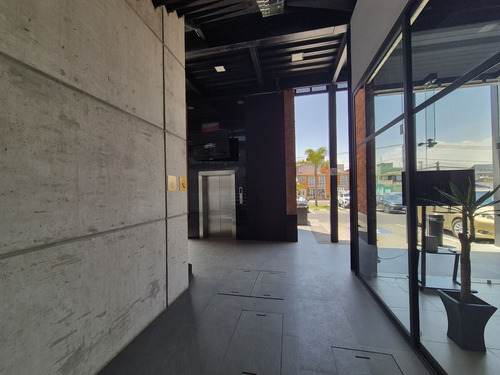 Locales En Renta Metepec