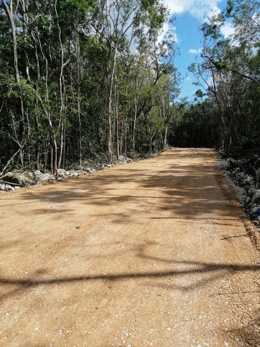 Terreno Pre Venta Tulum Centro