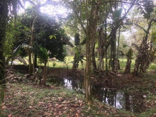 Chácara Com 1300m² No Jardim Aguapeu Em Itanhaém! - 5956