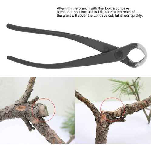 Pinza Para Bonsái, Cortador De Ramas Esférico, 185 Mm, Tije
