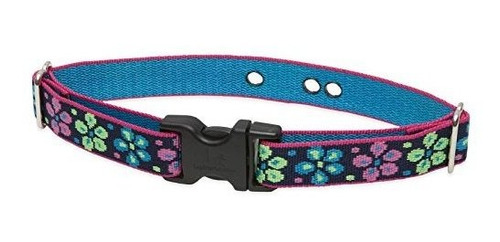 Lupinepet Originals 1  Flower Power 12-17  6zs8y