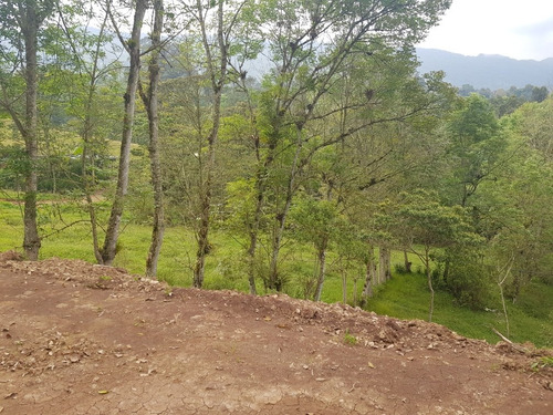 Imagen 9 de 13 de Vendo Finca Clima Templado Cerca De Bogotá, En Subia Cundinamarca 14700mts