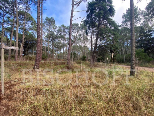 Lote En Carilo Barrio Zorzal Con Proyecto Y Planos Aprobados