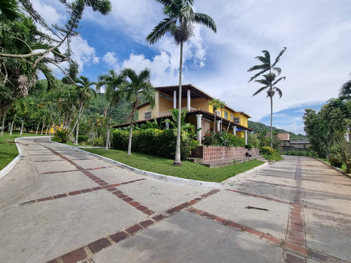 Venta De Quinta En Las Morochas. San Diego 15000 M2. G.g