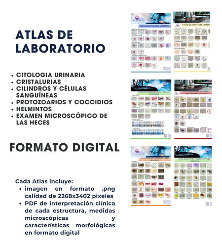 Atlas De Laboratorio Formato Digital