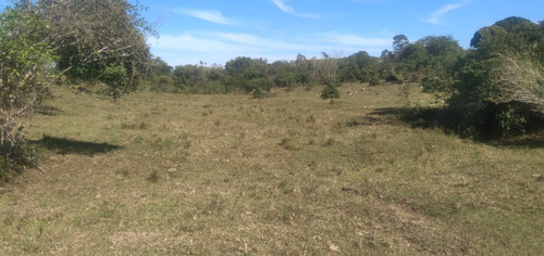 Excelente Sítío Plano De 42 Mil Mts