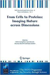 From Cells To Proteins Imaging Nature Across Dimensions Proc