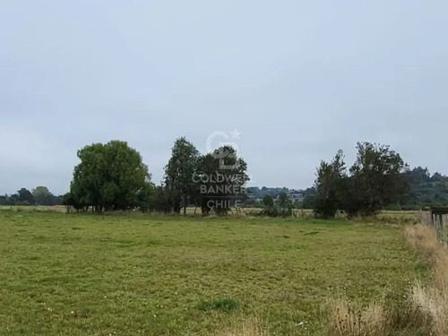 Parcela En Frutillar: Naturaleza Y Conectividad