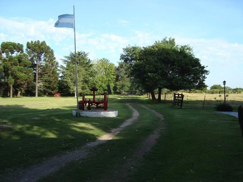 Imagen 14 de 14 de ### Excelente Estancia Con 20 Hectáreas De Campo # Bransend