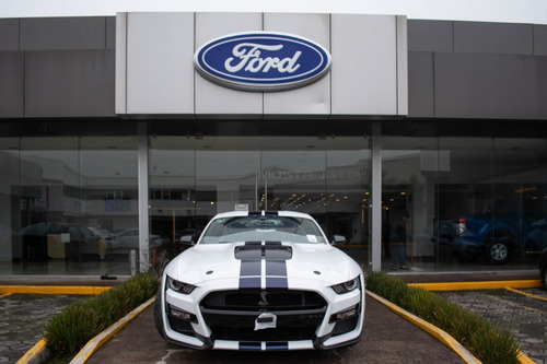 Imagen 8 de 15 de Ford Shelby 2021