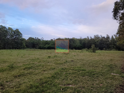 Imagen 5 de 28 de Campo 100 Hás Ruta 104 Manantiales
