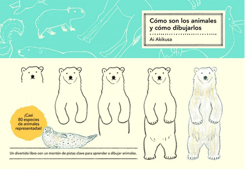 Libro Cómo Son Los Animales Y Cómo Dibujarlos - Ai Akikusa