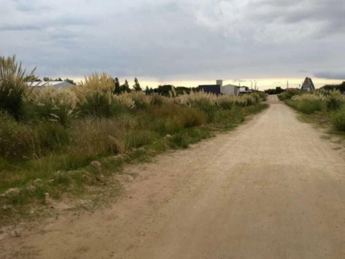 Terreno En Venta - 15x33,75 - 562mts2 - Coronel Dorrego