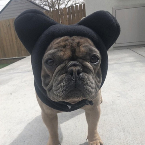2 Gorro De Invierno Para Perros, Gorros Cálidos Para Clima