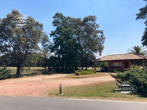 Imagen 5 de 28 de Terreno Barrio Privado 7414 Mts Camino De Los Horneros- Countrie Quinta De Los Horneros