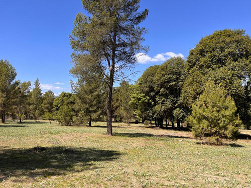 Lotes En Venta Villa General Belgrano El Bosquecillo Cód 2144