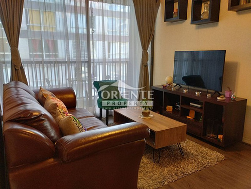 Santiago Centro Departamento Con Opción De Novación