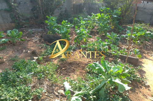 Imagem 19 de 20 de Chacara - Ch00232 - 70013434