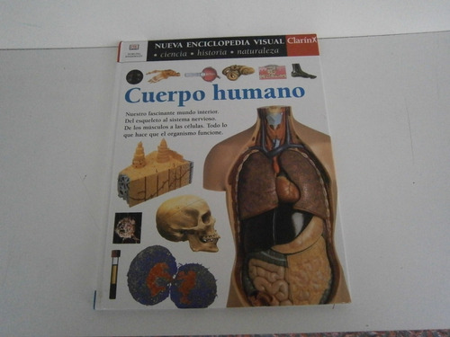 Cuerpo Humano . Nueva Enciclopedia Visual Clarín