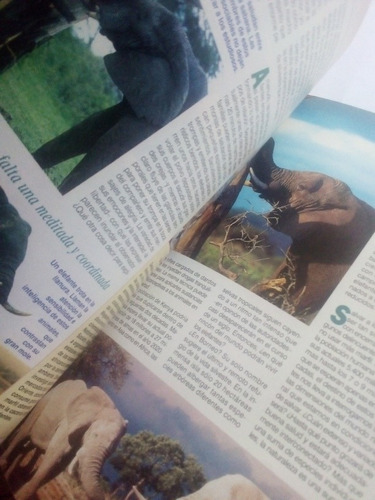 Imagen 4 de 4 de Revista Conozca Más Año 7 No. 1 Inteligencia El Ojo Y Más