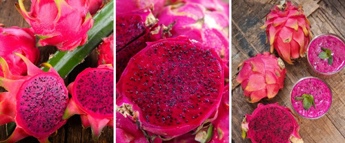 Planta De Pitahaya Establecida Pulpa Blanca O Roja(frutal)