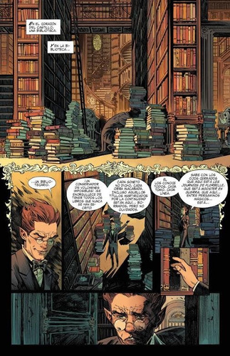 Universo Sandman ( Dc Black Label)