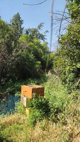 Oportunidad De Sitio En Venta, La Reina