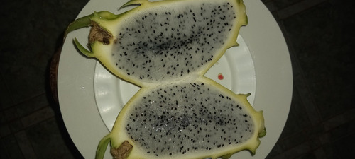 30  Esquejes  De Pitahaya  Casacara Amarrilla