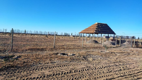Imagen 8 de 13 de Terreno En Venta San Rafael Mendoza