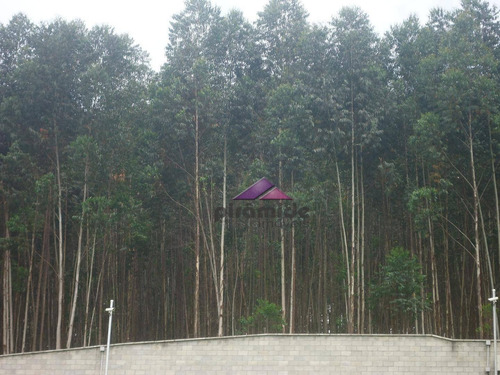 Imagem 6 de 30 de Terreno À Venda, 1028 M² Por R$ 150.000,00 - Village Parahybuna - Paraibuna/sp - Te0716