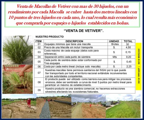 Vetiver, Dos Metros Lineales