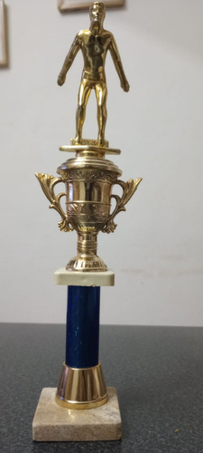 Trofeo Copa De Natación Sin Grabar Dorado
