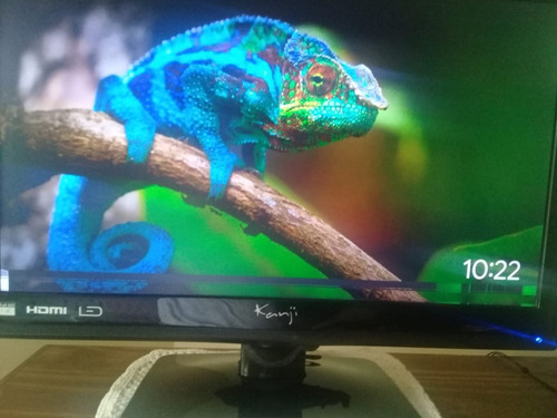 Tv Led Kanji 22 Pulgadas Con Falla De Imagen