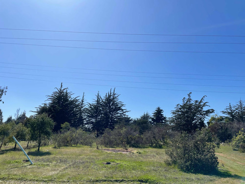 Venta De Parcelas, 5.000 Mts2, Con Agua Y Luz, En Algarrobo