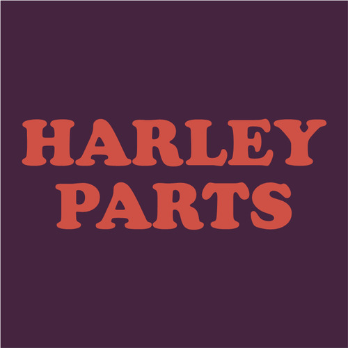 Módulo Bomba Abs Harley-davidson Softail 48349-11a