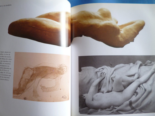 Libro Rodin-esculturas Y Dibujos (Usado)