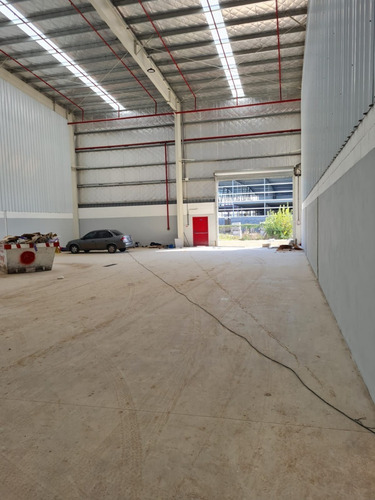 Nave Industrial 2.000 M2 A Estrenar