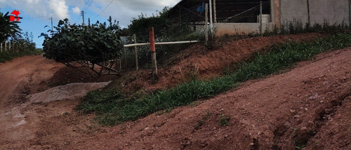 Imagem 3 de 9 de Chacara - Zona Rural - Ref: 1683 - V-1683