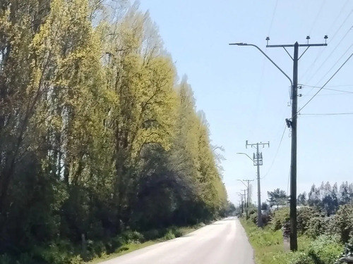 Terreno Agrícola De 33,5 Ha - Campo En Venta, San Clemente