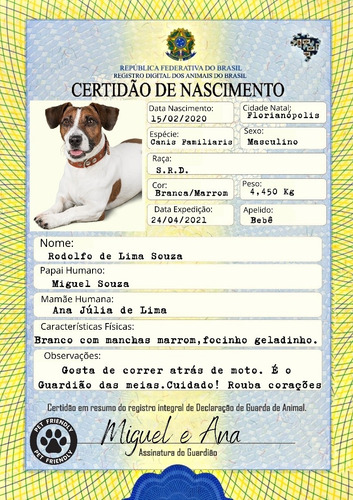 Imagem 1 de 2 de Certidão De Nascimento Pet (arte)