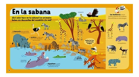 Los Animales - Juega Y Aprende