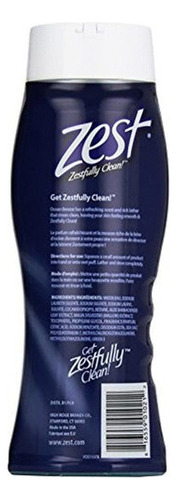 Zest Moisturizing Body Wash, Ocean Energy, 18 Oz