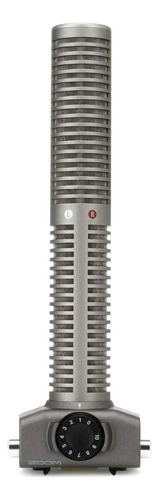 Zoom Ssh-6 Cápsula De Micrófono De Cañón Estéreo Con Parabri